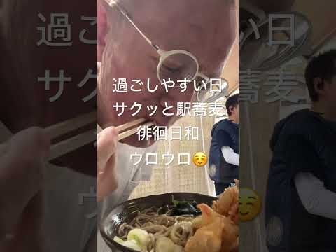 もしかしたら秩父でトップクラスの売り上げなんじゃないかな😅チャンネル登録高評価宜しくお願いします🙇#ぼっち飯 #秩父蕎麦 #駅そば