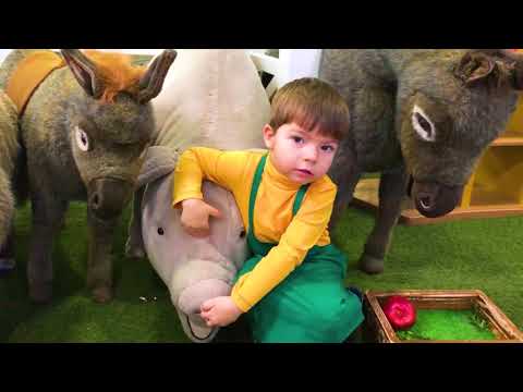 Old Macdonald Had a Farm Nursery Rhymes