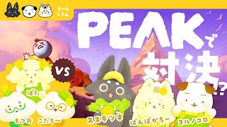 【PEAK】チーム対抗！山登り対決！【たんぽぽサンチーム】