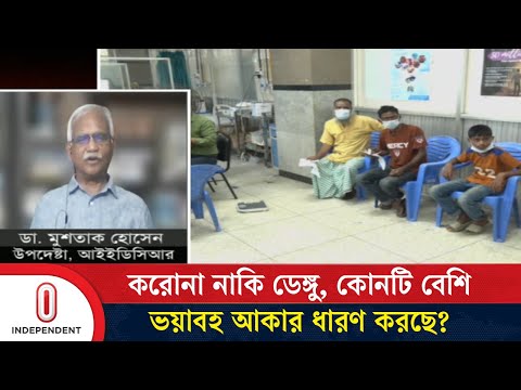 বরগুনা ডেঙ্গুর হটস্পট হয়ে ওঠার কারণ কী? | Dengue | Covid | Independent TV