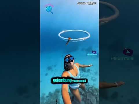 Rahasia “Cincin Udara” di Laut! Fenomena Ajaib yang Diciptakan dari Satu Hembusan Napas 😱  #shorts