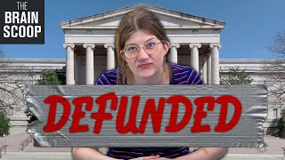 Trump is gutting museums and libraries. So what?