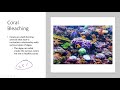 Ocean Acidification and Marine Life