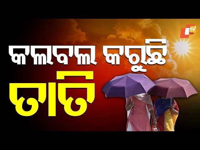 Heatwave Alert in Odisha Till May 15: IMD Cautions Against Rising Temperatures