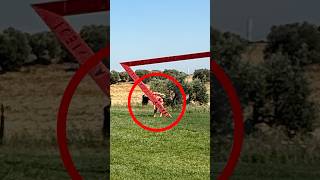 NON FARTI FOTOGRAFARE CHALLENGE ❌