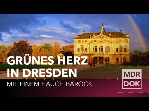 Vom Jagdrevier zur Grünen Lunge - Der große Garten in Dresden | MDR DOK