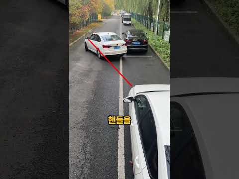 더 아상 평행주차가 무섭지 않은 주차공식