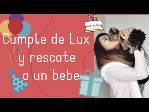 CUMPLE DE MI HIJA y RESCATE A OTRO ANIMALITO!!! VIKKIVLOGS