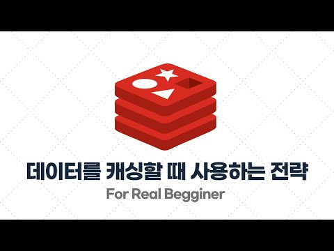 Redis 입문·실전 - 3.2. 데이터를 캐싱할 때 사용하는 전략 (Cache Aside, Write Around)