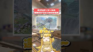 元プロゲーマーなら写真を見ただけでどこかわかる説！#apex #おしゅ #vtuber