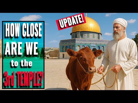 Israel's Temple Institute Announces HUGE STEP Toward 3rd Temple and Red Heifer