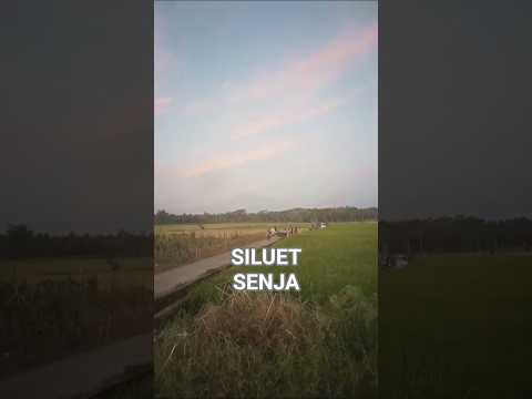 Siluet senja with Mounts Merapi, Merbabu, Tidar and Sumbing view. #mountains #mountainview #shorts