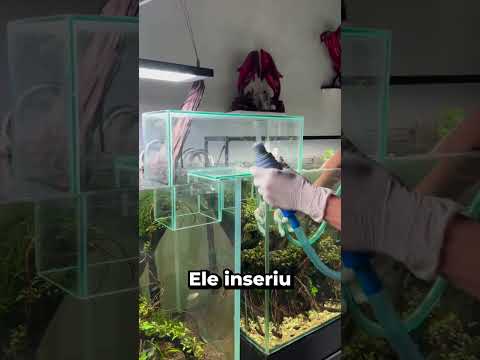 Esse HOMEM CONECTOU DOIS AQUÁRIOS! 🐠🌊✨