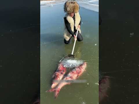 Why Do Fishermen Pump Air Under the Ice! 😳 #shortsvideo