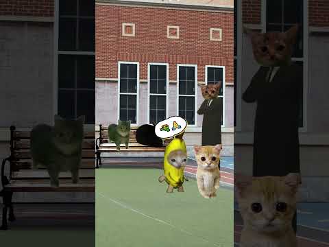 Banana Cat And Happy Cat School Day Part 12  #bananacat #catvideos #happycat #catfunny #catmemes