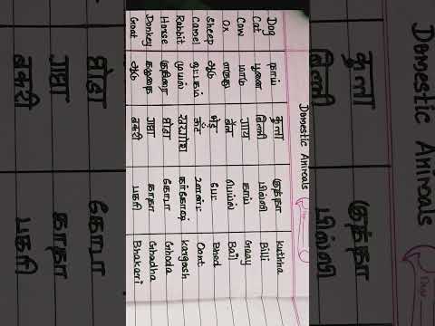 Domestic Animals in Hindi #hindi #learnhindi #spokenhindi  #hindithroughtamil #hindilearn