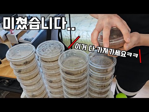 자칭 썩은물이신 회사원 집에 갔는데...방 한가득 반찬통에 가득찼네요ㄷㄷ