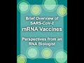mRNA Vaccine Mechanisms and Immune Response