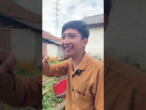 Temen kalian suka nangis ga kalo lagi main #beranda #lucu #vidiokocak #shortvideo #comedy