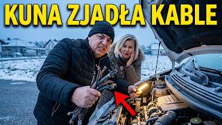 Kuna zjadła nam WĘŻE tuż przed wyjazdem (Sylwester w Chorwacji)