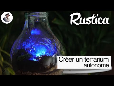 Comment fabriquer et composer un terrarium tropical autonome