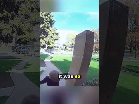 The doorbell camera captured this moment#shorts