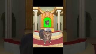 OIIA CAT The New Pope 🐈️ #shorts