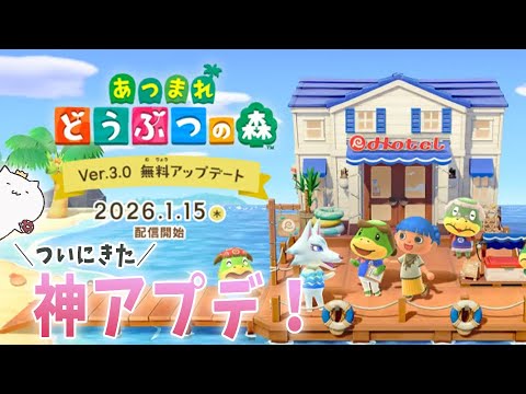 出遅れたけど楽しみたい、あつ森の無料アップデート!【 あつまれ どうぶつの森 】
