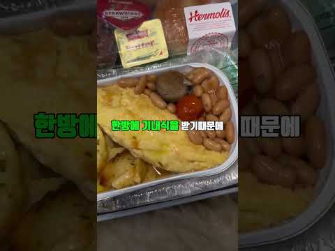 해외 승무원들이 한국사람들을 구분하는 방법