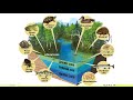 Aquatic Biomes and Ecosystems