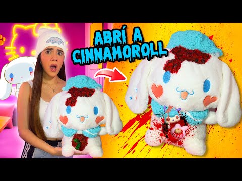 ABRÍ un PELUCHE de CINNAMOROLL y ME CONFESÓ algo ATERRADOR😨💀 | Ani Cat😻