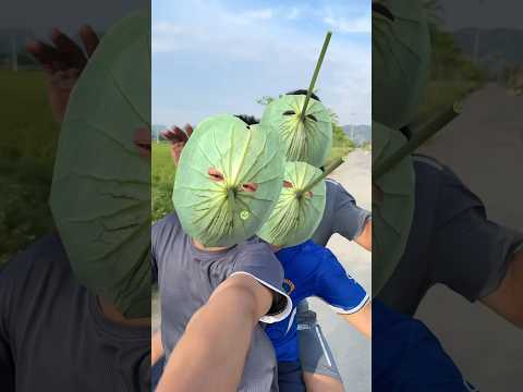 Chú Hưng Cùng Đồng Bọn Đi Cháy Phố #hưngtivi #haihuoc #funny