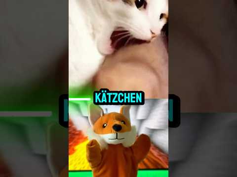 Wie viele Bisse dieser Tiere könnten dich ☠️?
