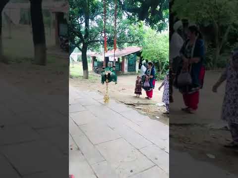 ਨੀਂ ਆਜਾ ਭਾਬੀ ਝੂਟਲੇ, ਪੀਂਘ ਹੁਲਾਰੇ ਲੈਂਦੀ