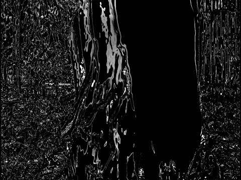 spookley_fun_halloween_gameplay archived (THE_SQUARE_PARASITE)