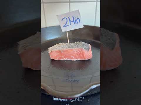 Salmon Food Test Video #cooking #experiements #castironcooking