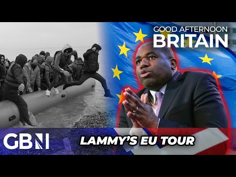 Brexit in PERIL: EU eyes NEW DEAL with UK under 'FRIEND of EU project' David Lammy