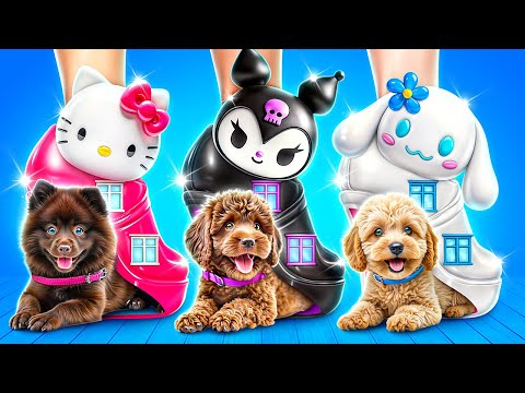 Desafio da Casinha de Cachorro de Uma Cor! Hello Kitty vs Kuromi vs Cinnamoroll!