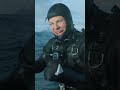 Whale Encounter Experience and Description