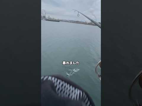 【ダイソー】100円ワームを投げたら水面で大爆発 #shorts