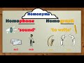 Exploring Homonyms, Homophones, and Homographs