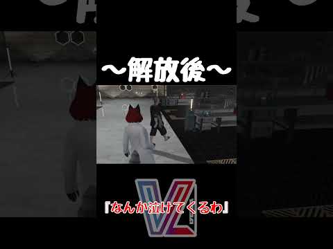 thumbnail_f_7ts65EDz4
