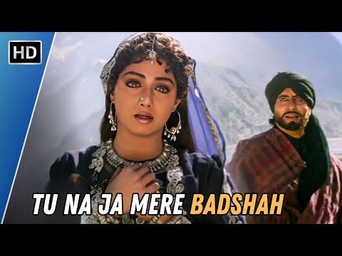 Tu Na Ja Mere Badshah | Amitabh Bachchan & Sridevi | Alka Yagnik & Mohd Aziz | Khuda Gawah (1992)