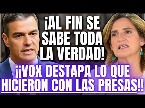 💥VOX DESTRUYE a SÁNCHEZ y RIBERA💥 ¡REVELAN TODA la VERDAD sobre su ABANDONO en la DANA de VALENCIA!