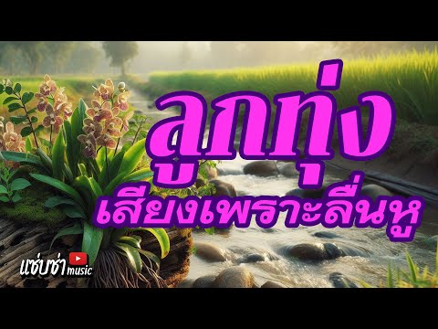 เพลงลูกทุ่ง เสียงเพราะลื่นหู