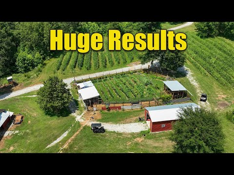 Super Garden Compost No Fertilizers Huge Results