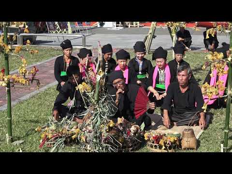 Men Loong Phat Ai Cockscomb Flower Festival of the Cong