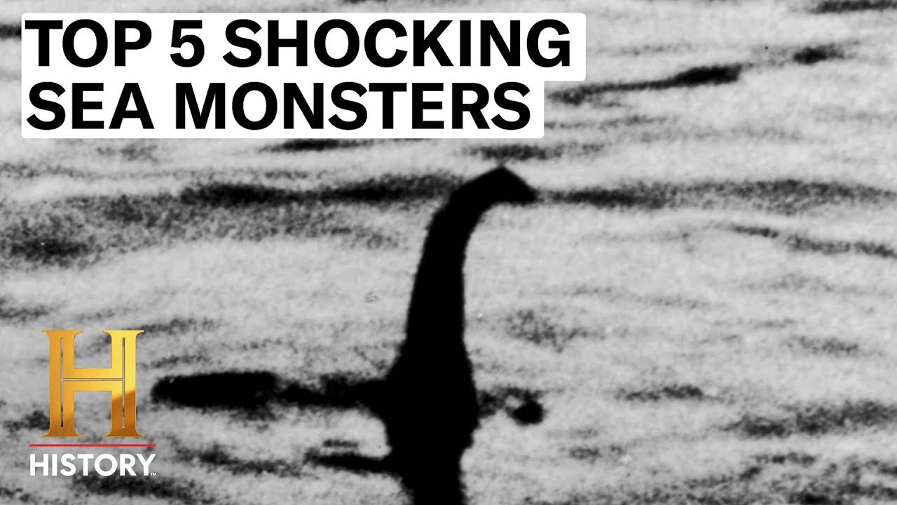 5 MYSTERIOUS SEA MONSTERS UNCOVERED - The Proof is Out There