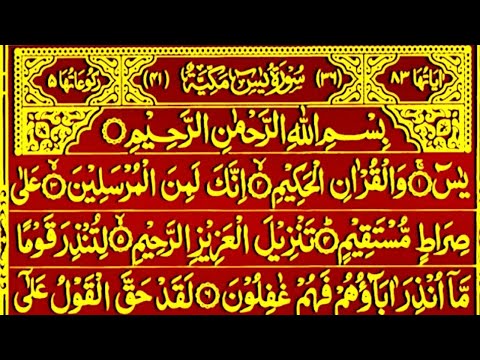 Surah Yaseen Surah Rahman | Best Qur'an Recitation | Surah Yasin Tilawat | Yaseen Surah full