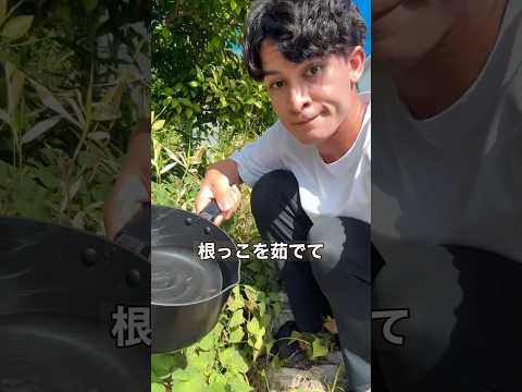 お薬いらず！簡単除草のやり方🧑‍🌾🌱 #家庭菜園 #植物 #野菜
